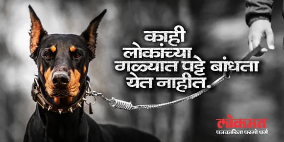 DOG, CHAIN