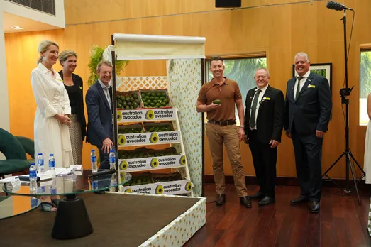 Will Brett Lee bowl Indians over with Australian Avocados? 