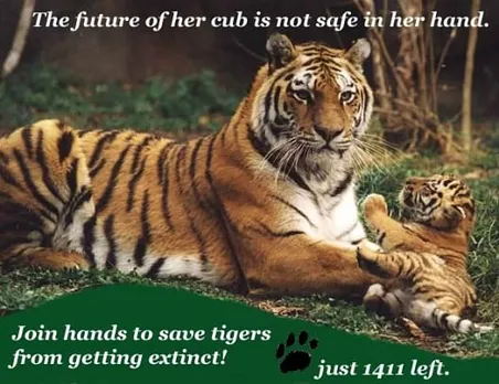 Save Tiger 