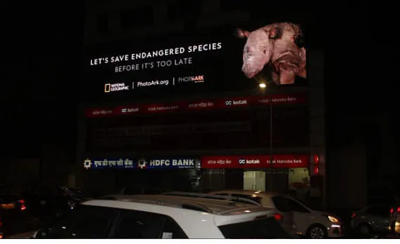 Let's save endangered species - 2