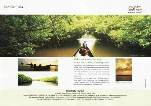 Mangroves