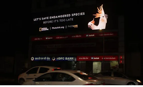 Let's save endangered species - 1