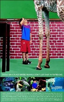 Show him a place where animals don't just exist in textbooks