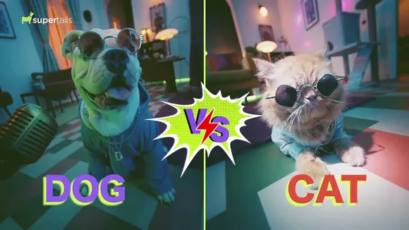 Supertails announces Swag sale with a rap video featuring dogs vs. cats battle