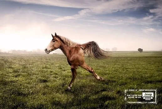 Horse