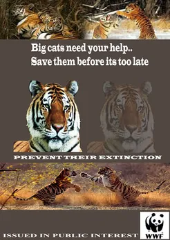 Prevent tiger extinction