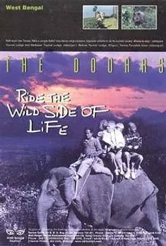 Ride the wild side of life