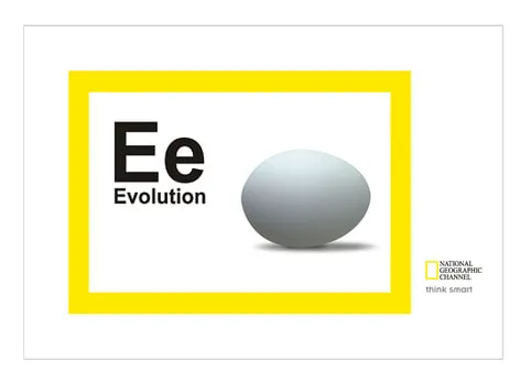 Egg