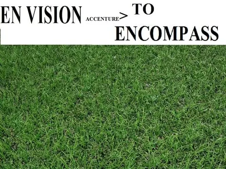 Grass