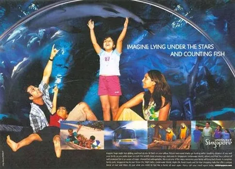 Imagine lying under the stars and counting fish