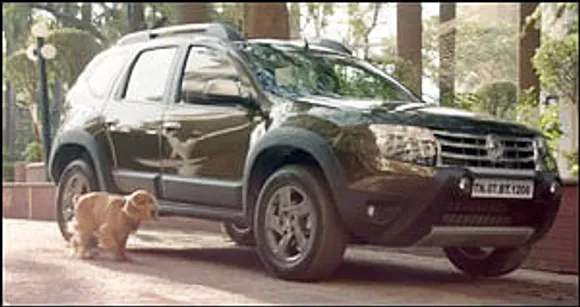 Even Dogs Know It's A Duster!
