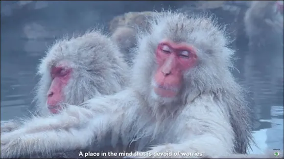 This David Attenborough-esque video is not a NatGeo clip but a Skoda ad