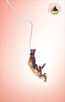 Bungee 