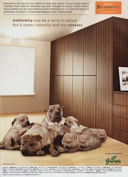 Dogs