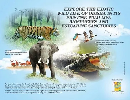 Explore the exotic wildlife