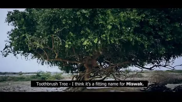 Dabur tries to find the root of its Meswak toothpaste
