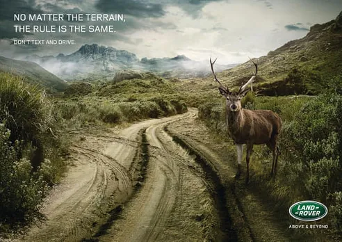 Don't text and drive -Deer