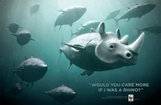 Rhino