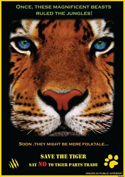 Save the Tiger