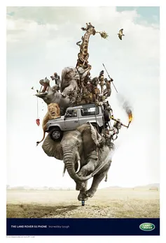 Safari