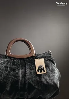 Sanctuary bags