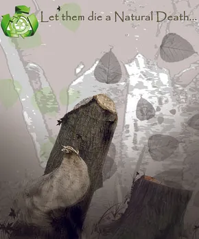 Go Green