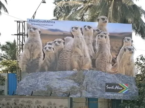 Meerkats at Juhu Beach