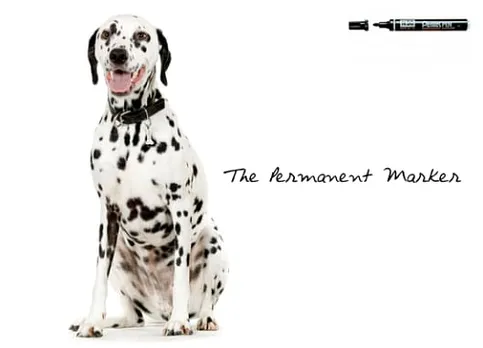 The Permanent Marker