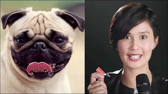 Who's a better mascot for 4G: Vodafone's Pug or the Airtel Girl?