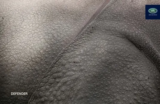 Hippo