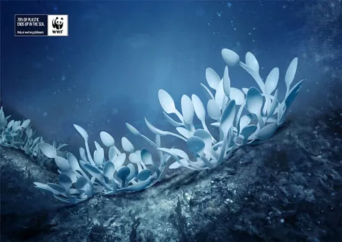 Corals- spoon