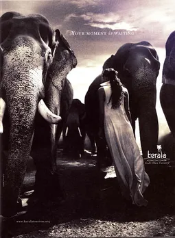 Woman and Elephants