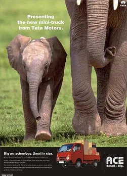 Elephants