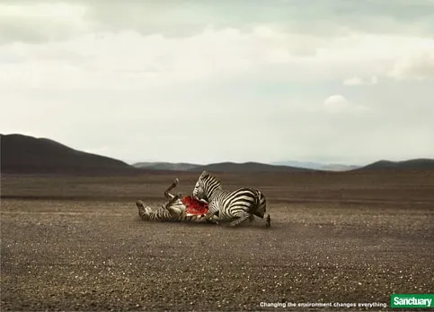 Sanctuary Asia - zebra