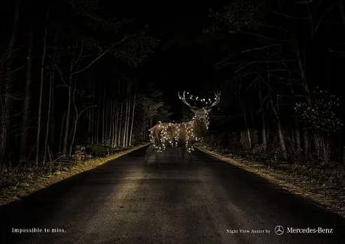 Deer