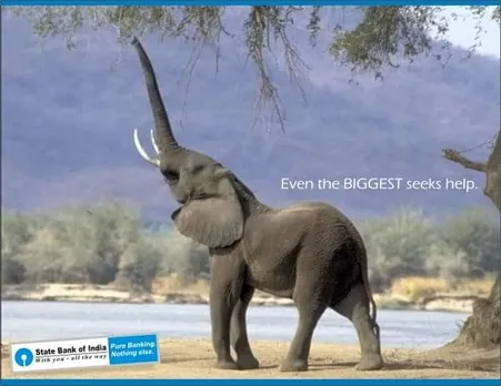 Even the Biggest seeks help