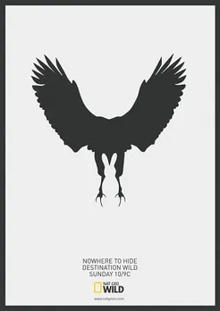 Eagle Vs Rabbit
