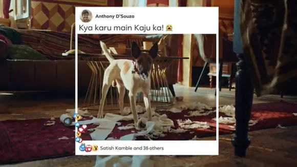After footballers and readers, Facebook targets pet parents in latest spot
