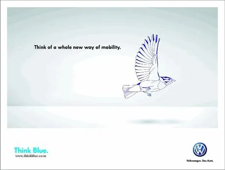 Blue - bird