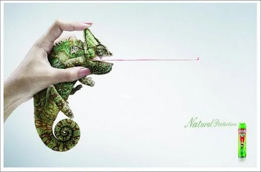 Chameleon