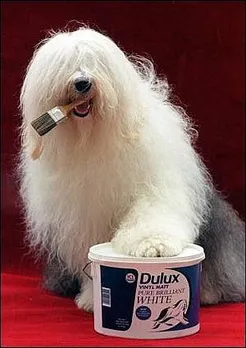 McCann Erickson pockets creative duties of Dulux Paints