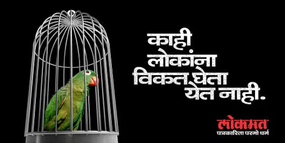 CAGE, PARROT