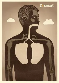 Lungs