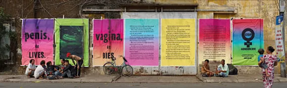 Penis, vagina