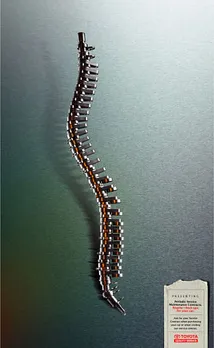 Spine