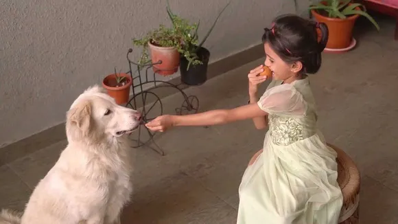 Wiggles celebrates Diwali with pets in its #TrueBurstOfHappiness Campaign