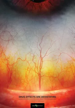 Forest In Flames