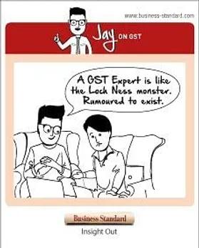 A GST expert