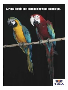 Parrots