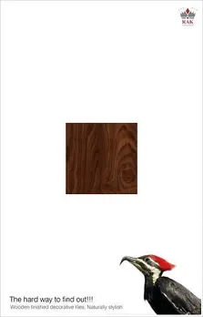 Woodpecker